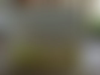 BORED - NOTHING TO DO