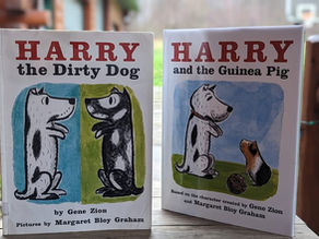 HARRY THE DIRTY DOG/ HARRY AND THE GUINEA PIG