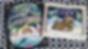 AURORA BOREALIS PICTURE BOOKS