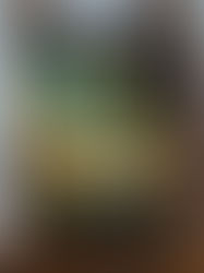 SERAFINA AND THE BLACK CLOAK