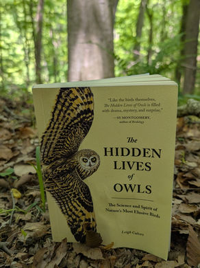THE HIDDEN LIVES OF OWLS