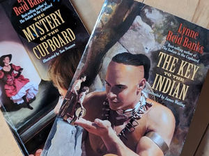 INDIAN IN THE CUPBOARD SERIES