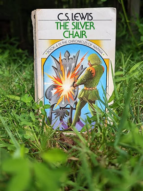 THE SILVER CHAIR