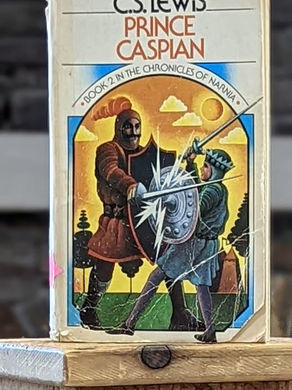 PRINCE CASPIAN