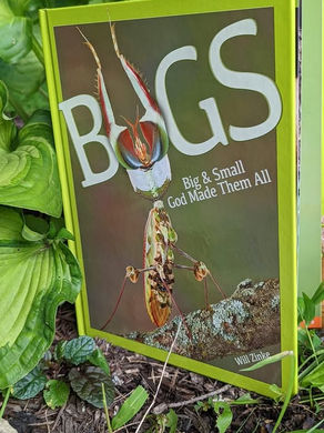BUGS: BIG AND SMALL GOD MADE THEM ALL