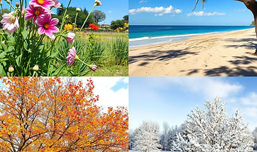 spring (flowers) summer (sandy Beach) fall (Colorful leaves on trees) winter (snow covered