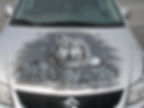 Wolf, Wolfhaube, Motorhaube, Wolfairbrush, Airbrush