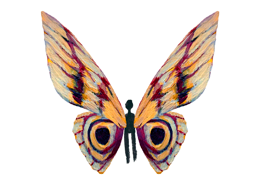 papillon3.gif