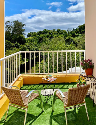 "casa dos Castanheiros" "guesthouse" " Azores" Alogemento local" "garden" "apéritif"