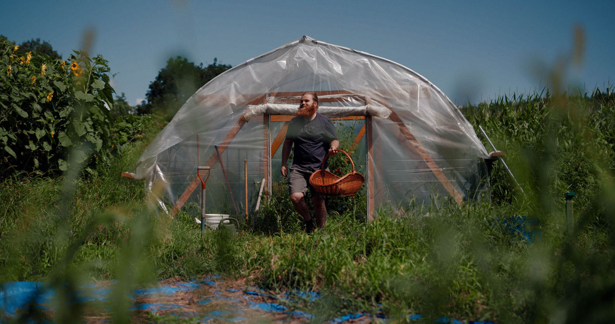 man with basket coming from greenhouse with sunflowers in background