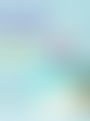 Reflecting on One Year of SRCC