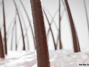 Cuticle in tact hair strands