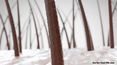 Cuticle in tact hair strands