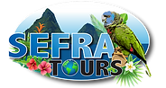 Sefra new logo.png