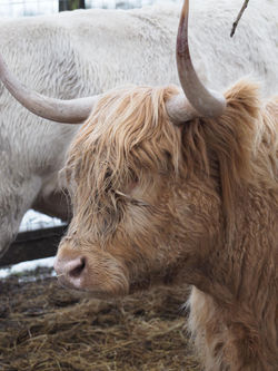 133766757_749267262654790_22525259964808