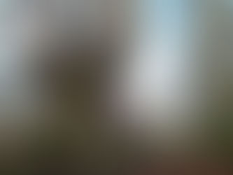 Lindsey our tree consultant hugging an ancient beech tree