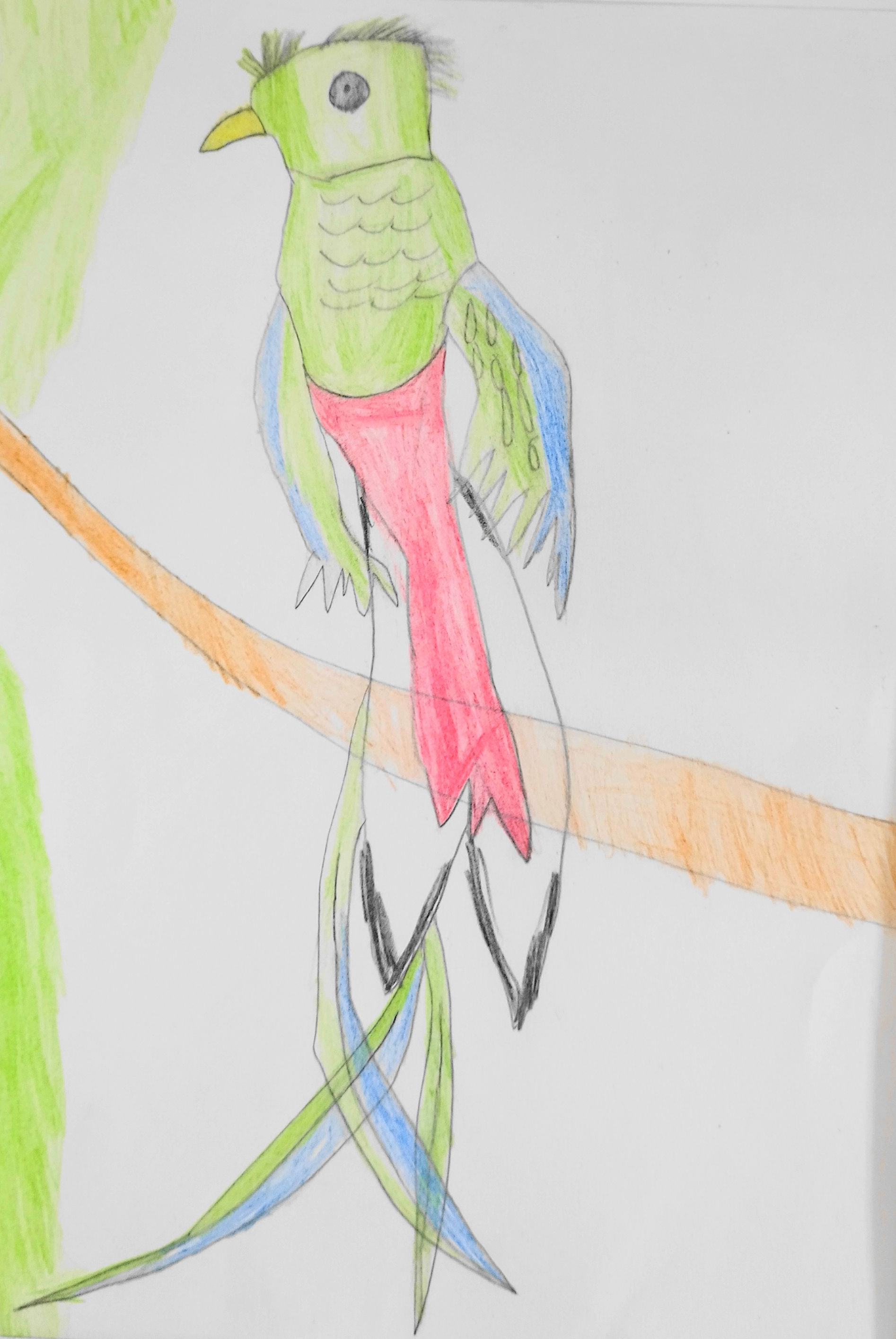 『祈り』杉原将太：作