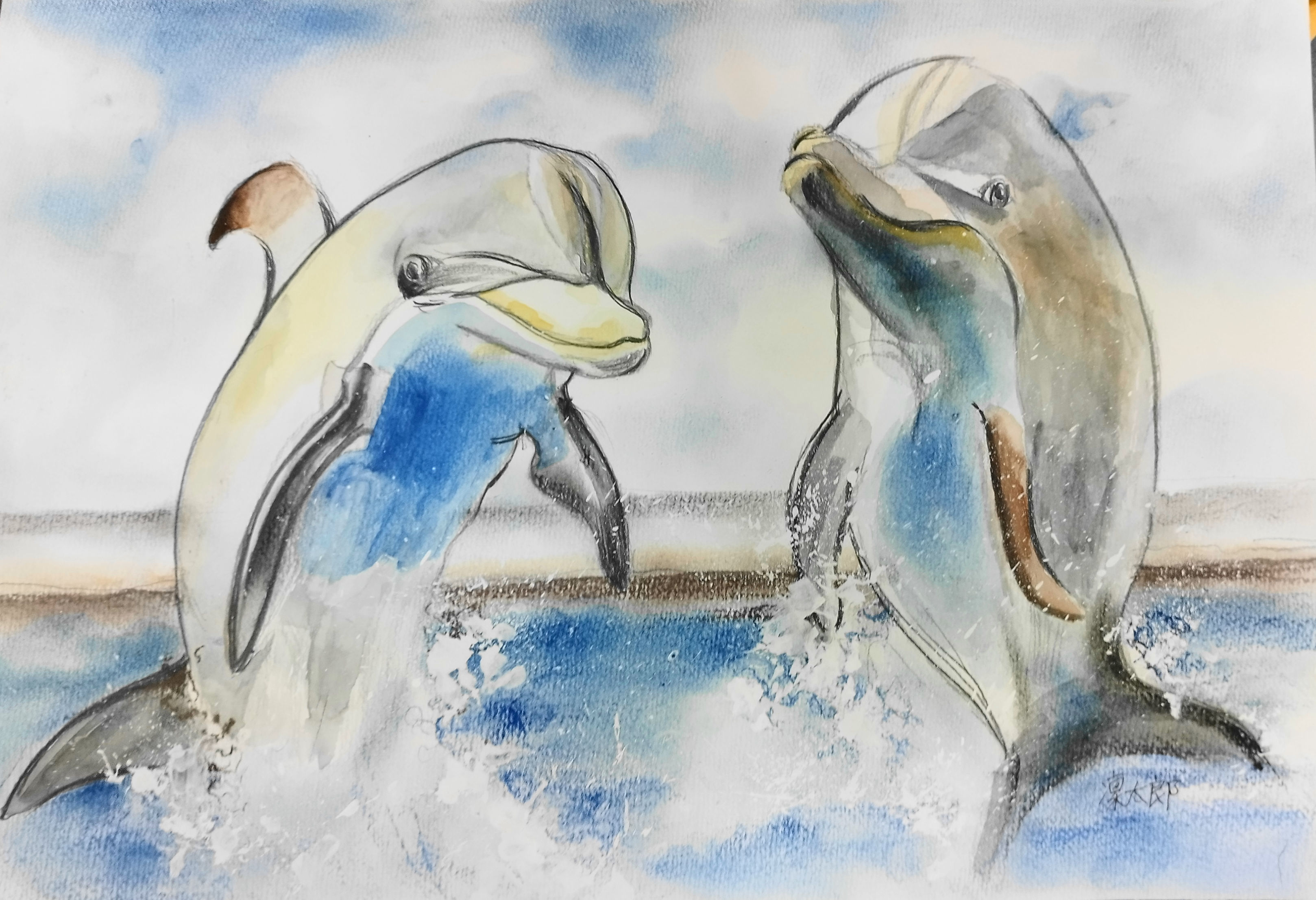 『楽しくあそぶイルカ』今岡凜太郎：作