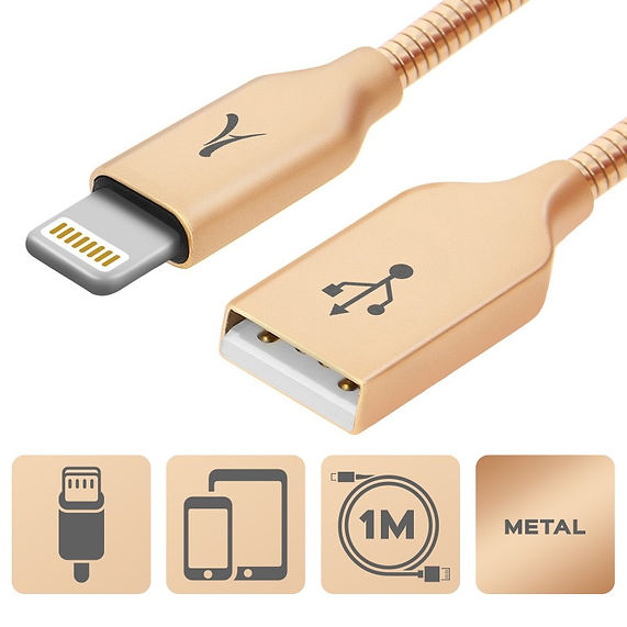 Câble USB-C Métal Or