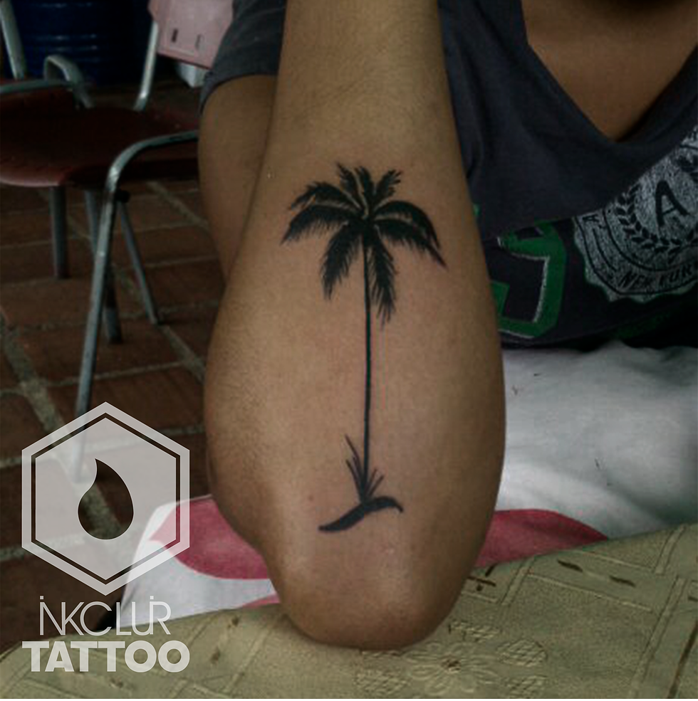 Palmera