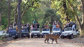 307866568_763215394765234_5277631550096709932_n.jpg__nc_cat=107&ccb=1-7&_nc_sid=aee45a&_nc