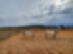 image8.jpeg