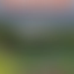 Glimpses of our past yoga retreat