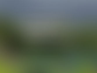 Glimpses of our past yoga retreat