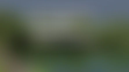 Glimpses of our past yoga retreat