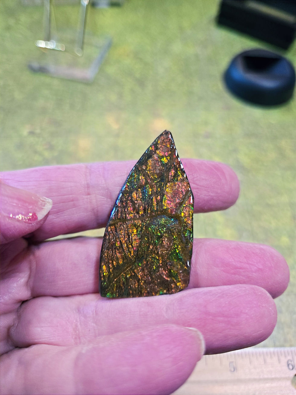 Thumbnail: Ammolite Gemstone cab