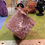 Thumbnail: Fire quartz aka hematoid quartz notched cube