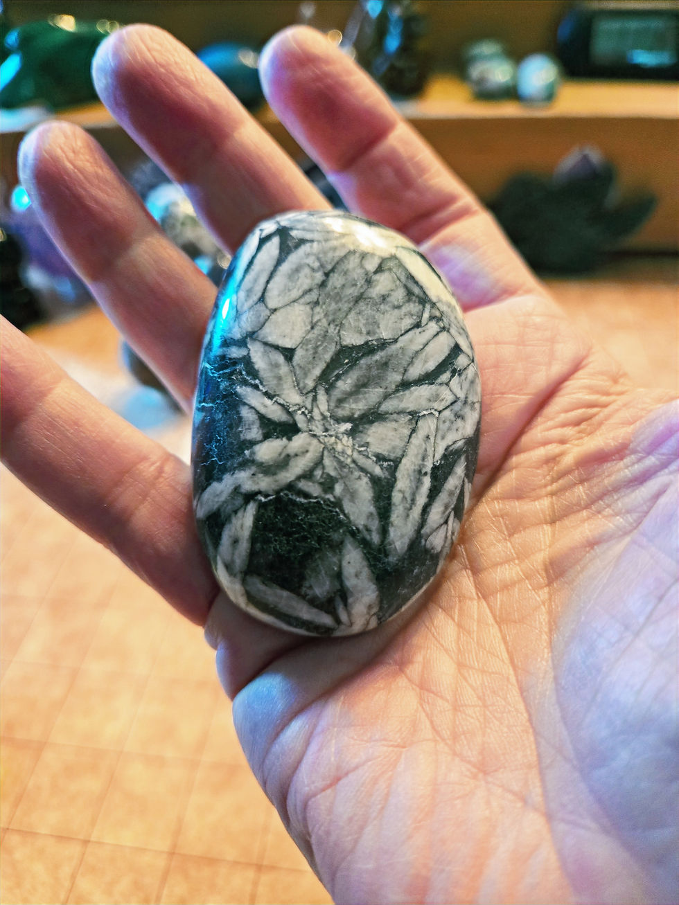 Thumbnail: Pinolite Palm stone aka Pinolith