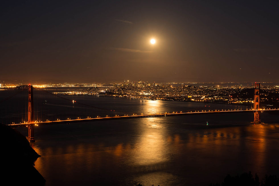 pd pic of san fran at night 2.jpg