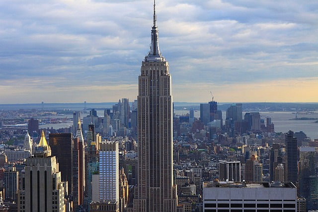 pd pic of ny b 2.jpg