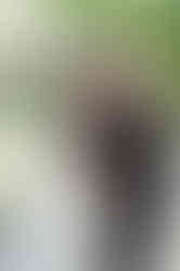 Bride and groom portraits at The Hummingbird House in Austin, Texas during spring