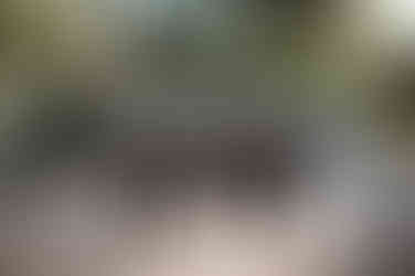 candid moments at the addison grove