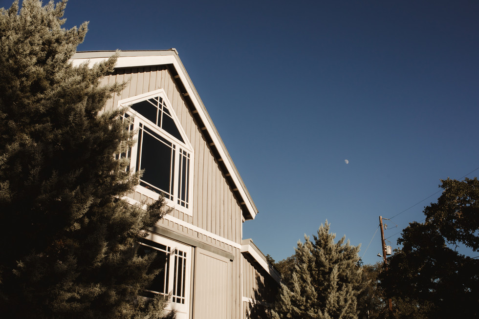 Elegant black-and-white wedding ceremony at The Addison Grove with chandeliers hanging from a sprawling oak.