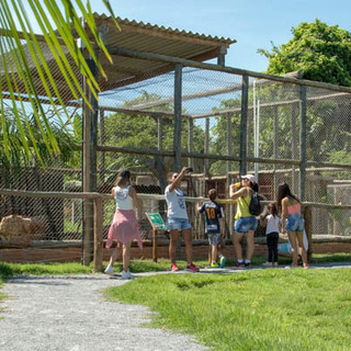 biopark_visitantes.jpeg