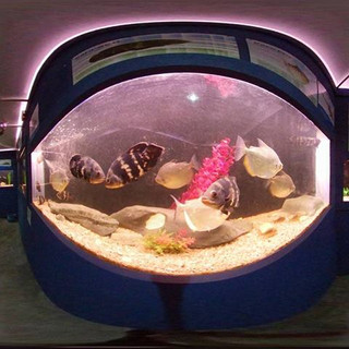 aquario-de-bonito6.jpeg