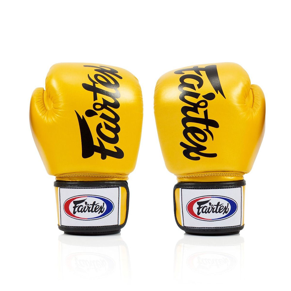 Fairtex Deluxe Boxing Gloves