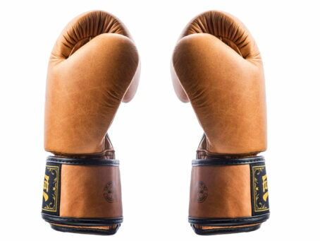 Fairtex Boxing Gloves - Legacy Brown