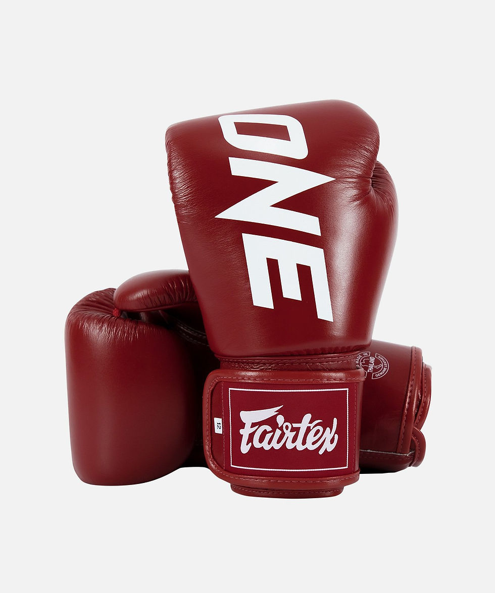 Fairtex Boxing Gloves -  ONE CHAMPIONSHIP