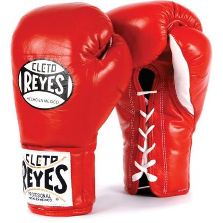 Buy Professional Cleto Reyes Fight Gear Boxing Gloves in Singapore