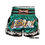 Thumbnail: [OUT OF STOCK] Twins Special Muay Thai Shorts - Premium designs