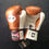 Thumbnail: [OUT OF STOCK] Twins Special "3-Tone" Boxing Gloves