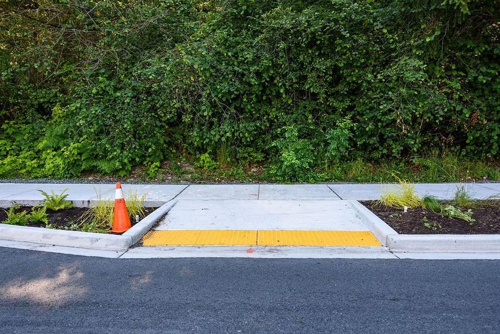 The Importance of Curb Cuts in Learning