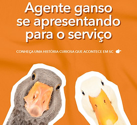 SaveClip.App_410652540_18369651085076883_1025527271852997236_n.jpg