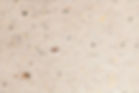 Seed Paper_edited.jpg