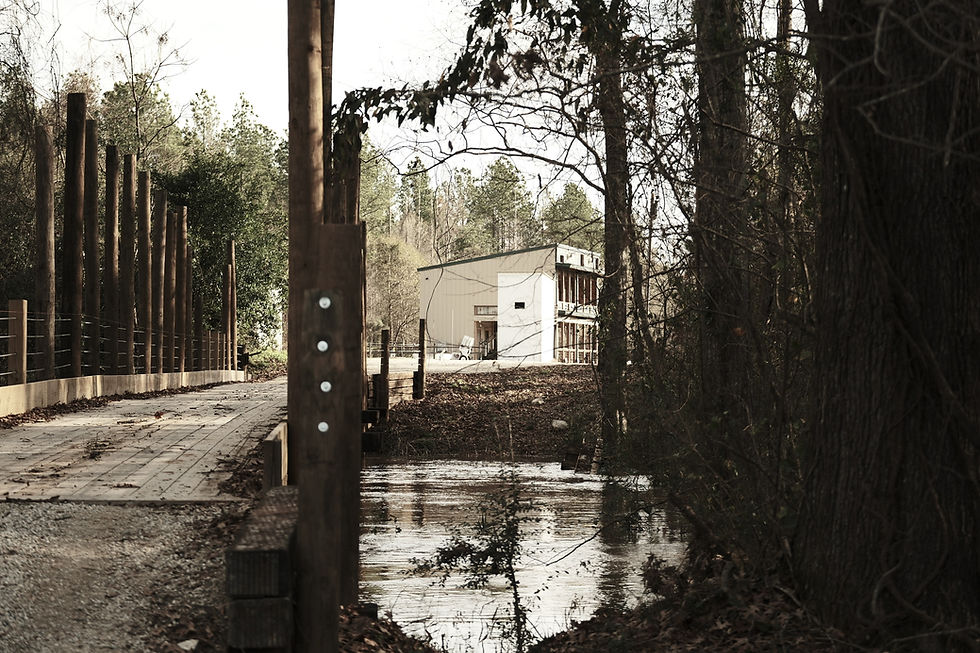 Registered Shoot - June 19 & 20