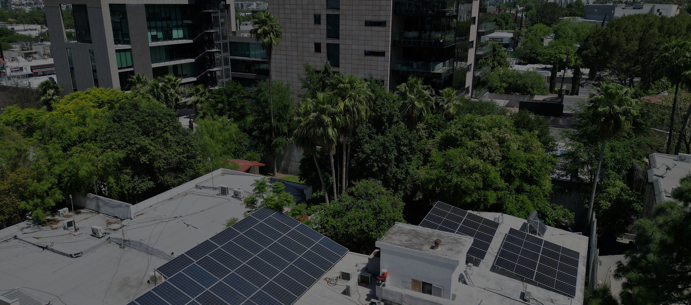 CEA DENTAL_edited_edited